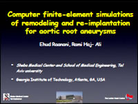 Computer Finite-Element Simulations of Remodeling and Re-Implantation for Aortic Root Aneurysm