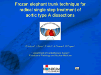 Frozen elephant trunk technique for