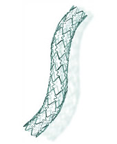 stent