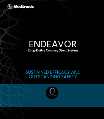 endeavor
