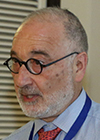 Arie Wollner MD