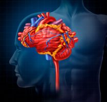 חשיבות המצב הסציואקונומי על תוצאות תפקודיות לאחר אירוע מוחי (J Am Heart Assoc)