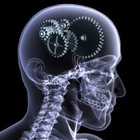 חבלת ראש בדרגה בינונית-עד-חמורה מלווה בסיכון מוגבר לממאירות מוחית (JAMA Netw Open)
