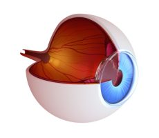 עין AMD