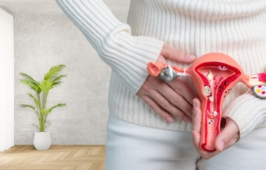 שד סרטן שד BREAST CANCER