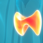 endo17