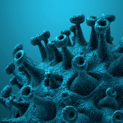 infection21