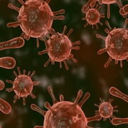 infection7