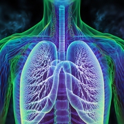 lung15