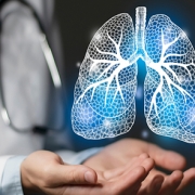 lung19