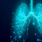 lung37