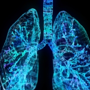 lung46