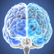 neuro27