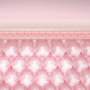 skin7