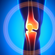 knee
