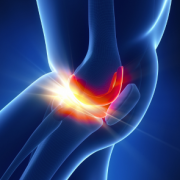 knee1