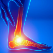 ankle