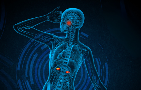 Update on the medical treatment of Cushing’s syndrome & case presentations