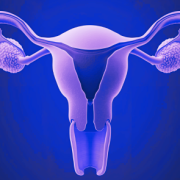 ovaries