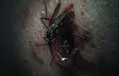 malaria