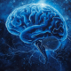 סיקור וידאו מלא של הועידה הבינ”ל הראשונה ל-MULTIDISCIPLINARY  NEUROPULMONARY