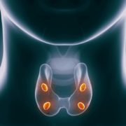 Hyperparathyroidism