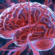 brain1