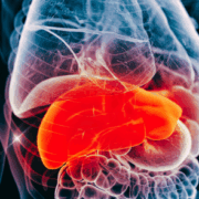 liver