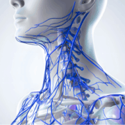 Lymph nodes