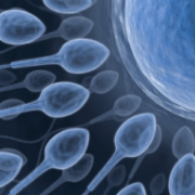 sperm