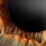 eye