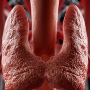 thyroid